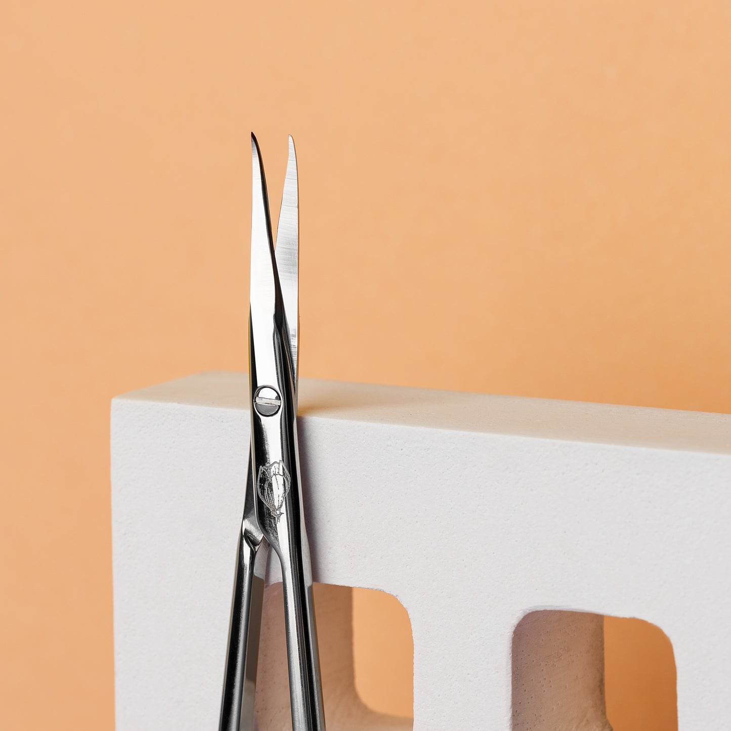 Staleks Pro Exclusive 23 Type 1 Professional Cuticle Scissors SX-23/1m