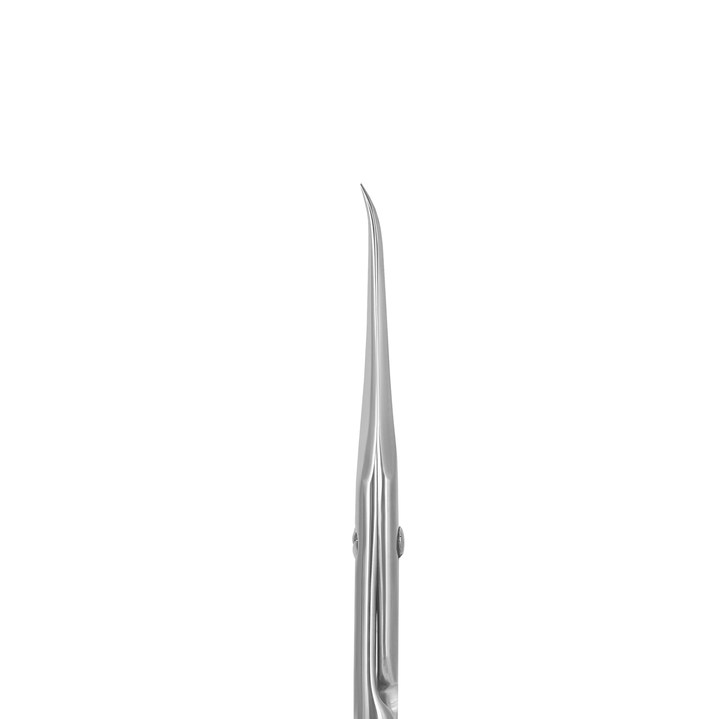 Staleks Pro Exclusive 21 Type 2 Professional Scissors SX-21/2M
